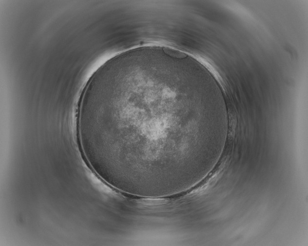 X0000110891151200906181240