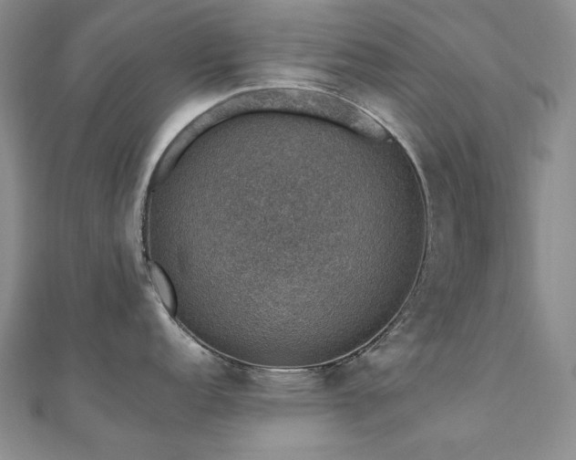 X0000110891152200906181240