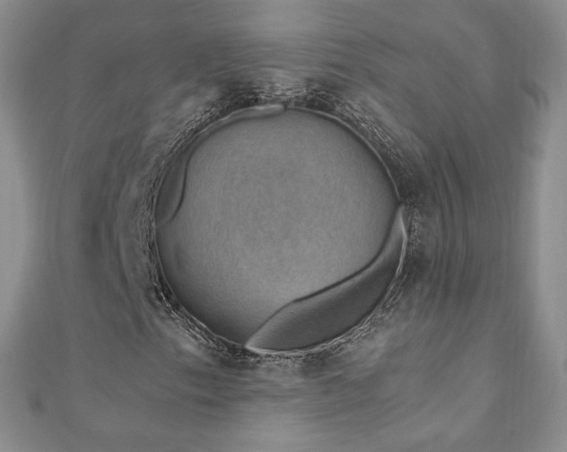 X0000110891153200906181240