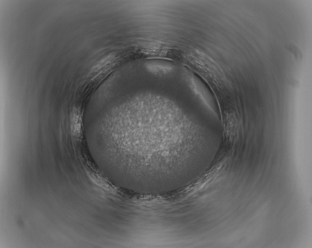X0000110891154200906181240
