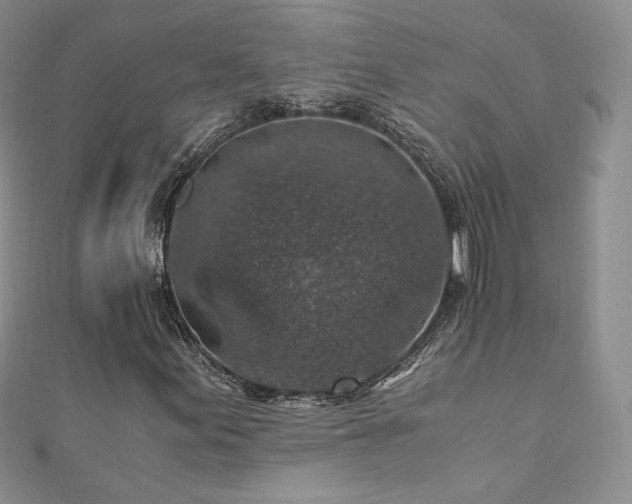 X0000110891155200906181240