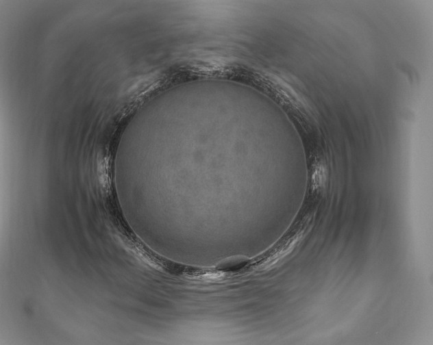 X0000110891156200906181240