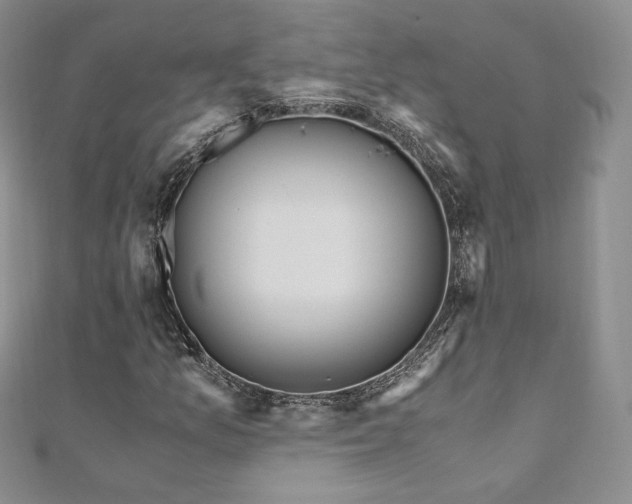 X0000110891157200906181240
