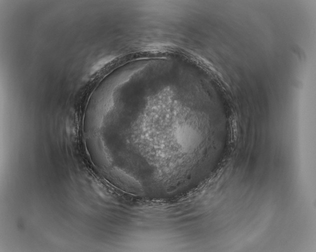 X0000110891158200906181240