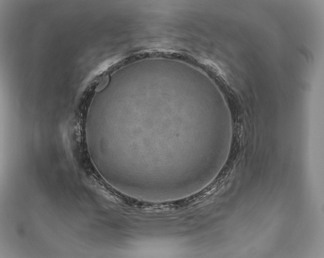 X0000110891159200906181240