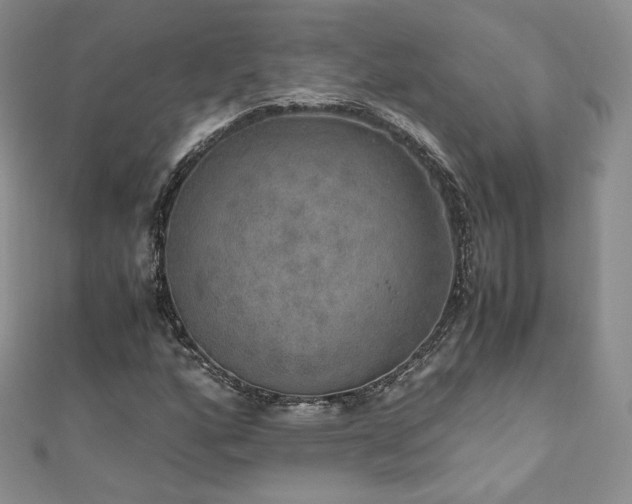 X0000110891160200906181240