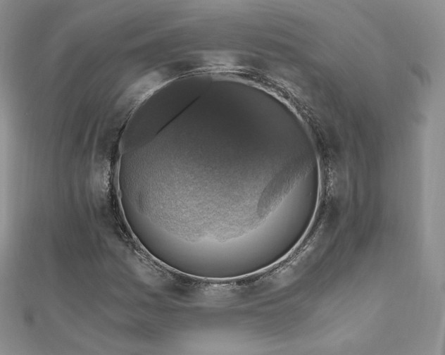 X0000110891161200906181240