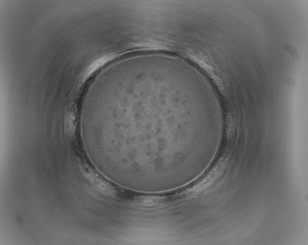 X0000110891163200906181240