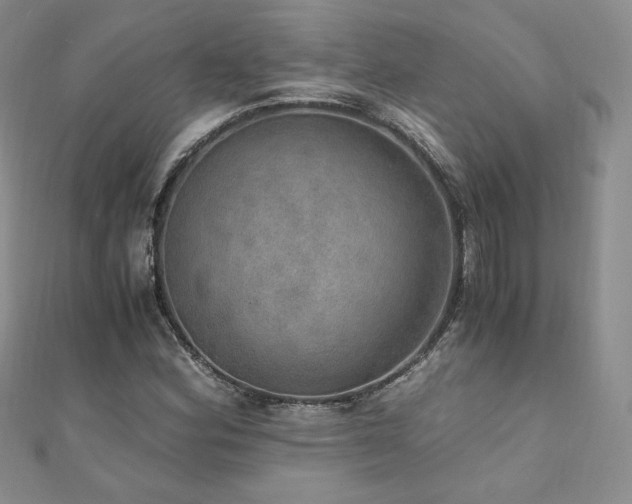 X0000110891164200906181240