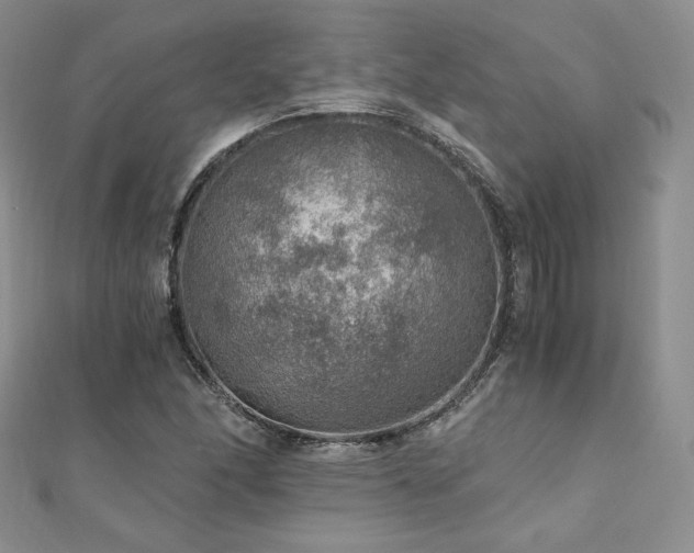X0000110891166200906181240