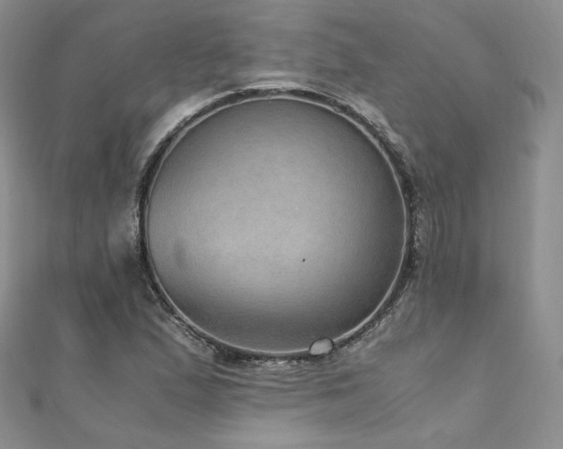 X0000110891167200906181240