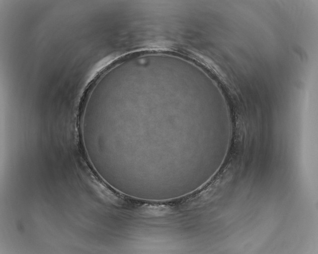 X0000110891168200906181240