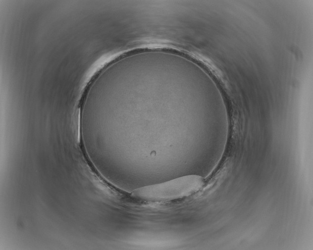 X0000110891175200906181240