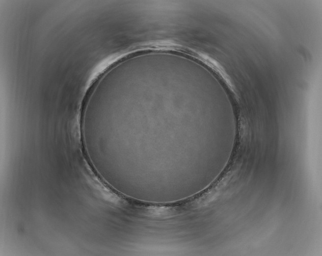 X0000110891176200906181240