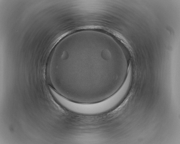 X0000110891177200906181239