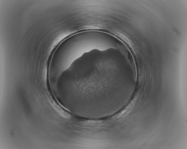 X0000110891179200906181239