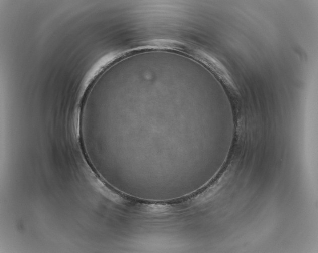 X0000110891180200906181239