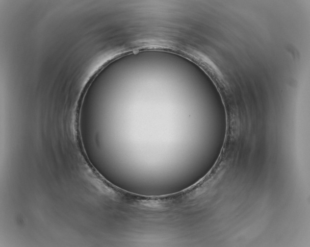 X0000110891182200906181239