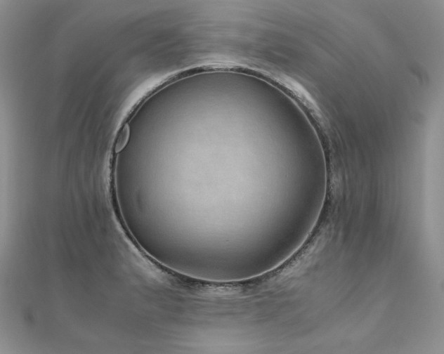 X0000110891183200906181239