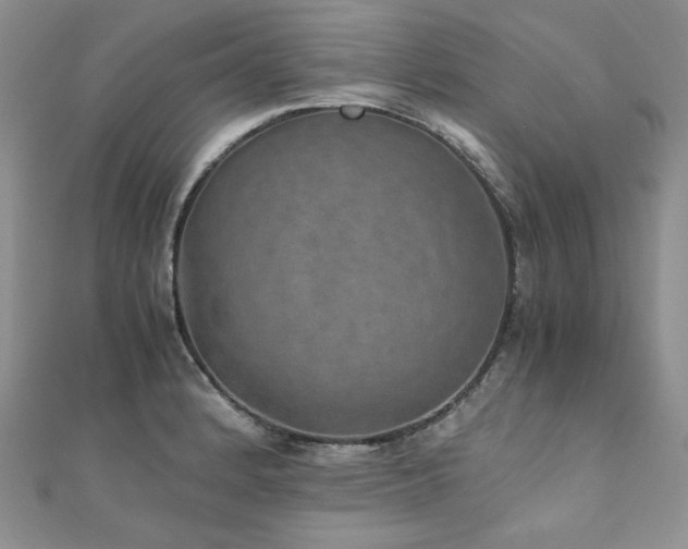 X0000110891184200906181239