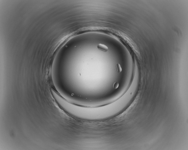X0000110891185200906181239