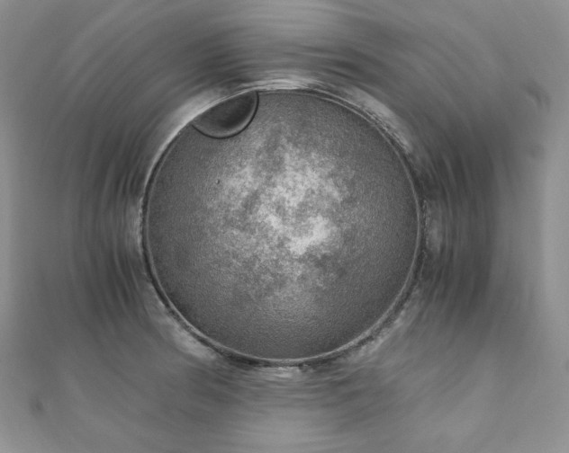 X0000110891186200906181239