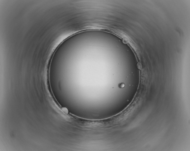 X0000110891187200906181239