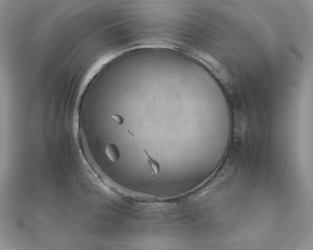 X0000110891188200906181239