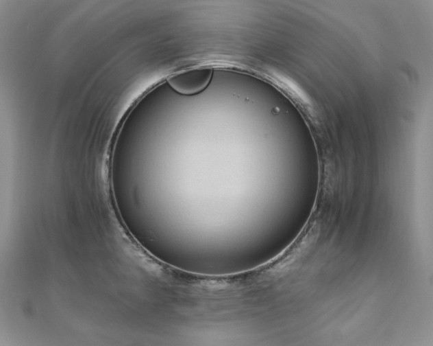 X0000110891190200906181239