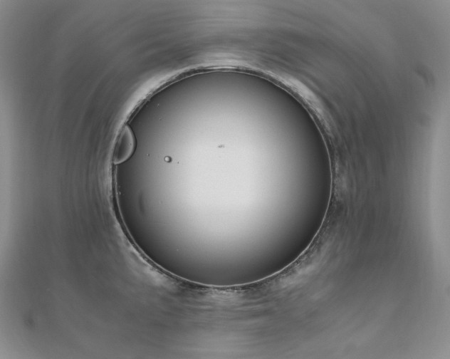 X0000110891191200906181239