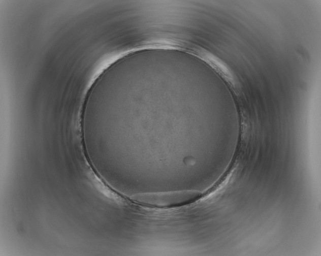 X0000110891192200906181239