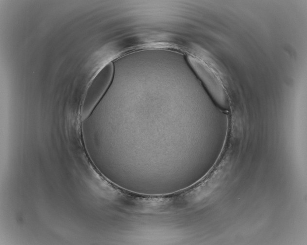 X0000110891193200906181239