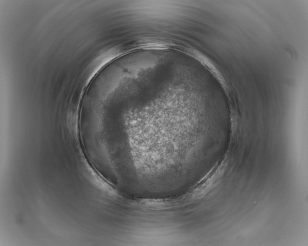 X0000110891194200906181239