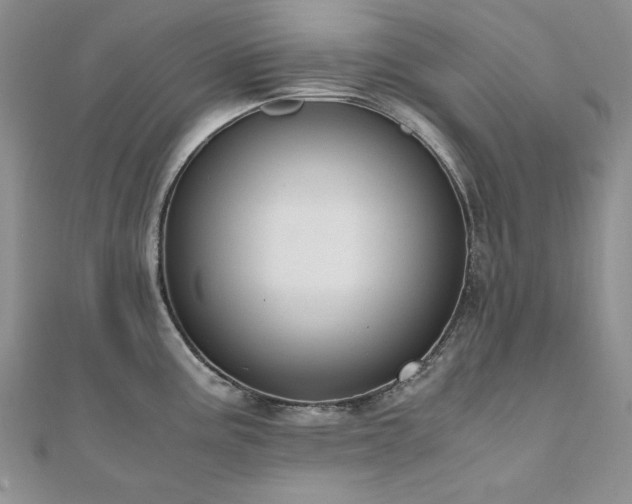 X0000110891195200906181239