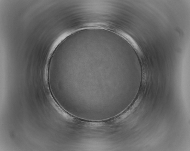 X0000110891196200906181239