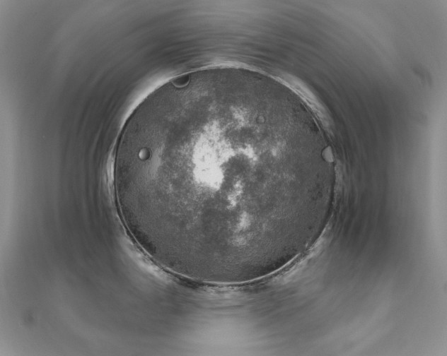 X0000110891198200906181239
