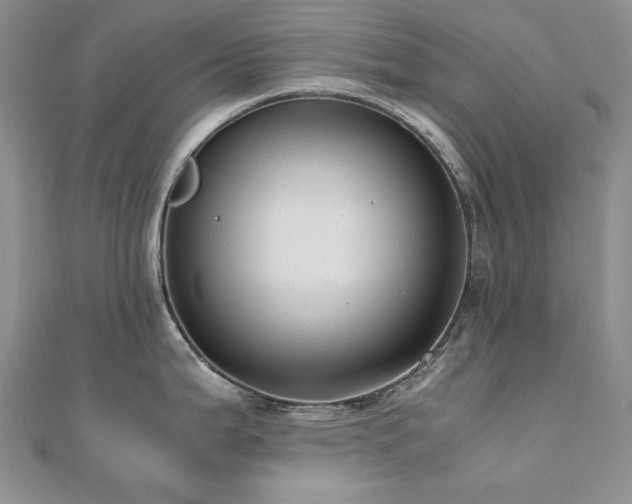 X0000110891199200906181239