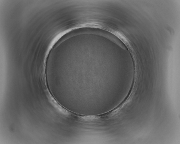 X0000110891200200906181239