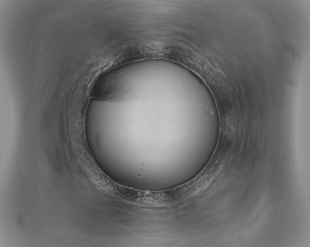 X0000110891201200906181239