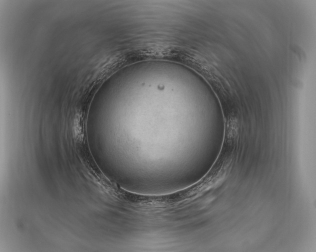 X0000110891202200906181239