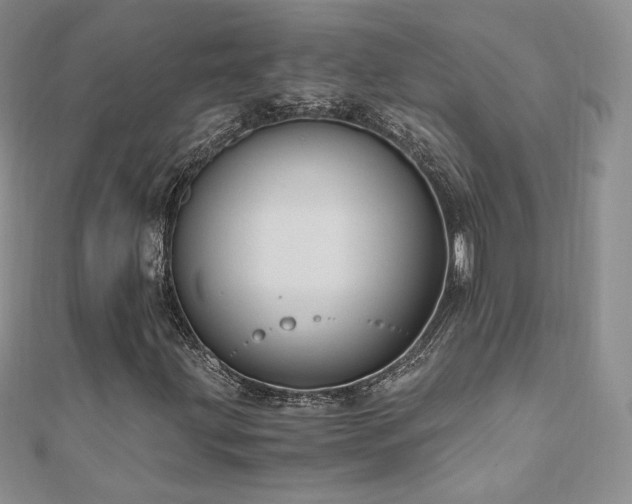 X0000110891203200906181239