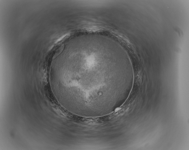 X0000110891205200906181239