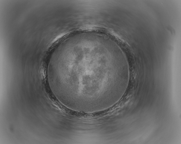 X0000110891206200906181239