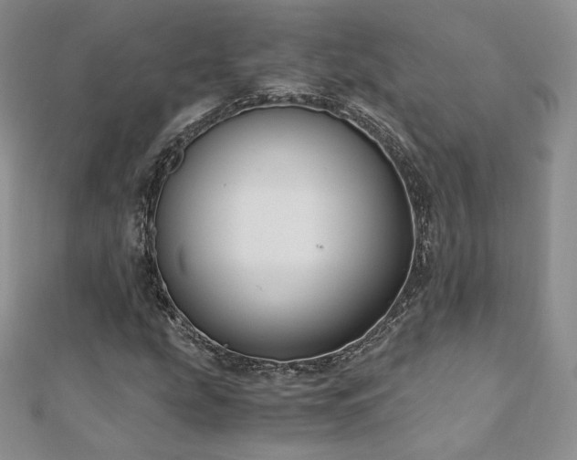 X0000110891207200906181239