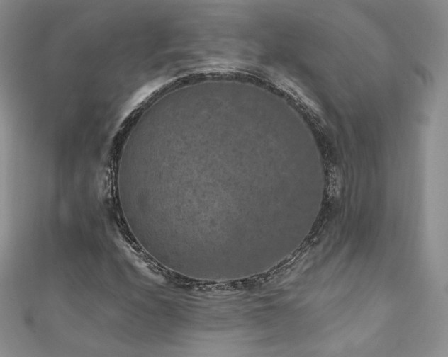 X0000110891208200906181239