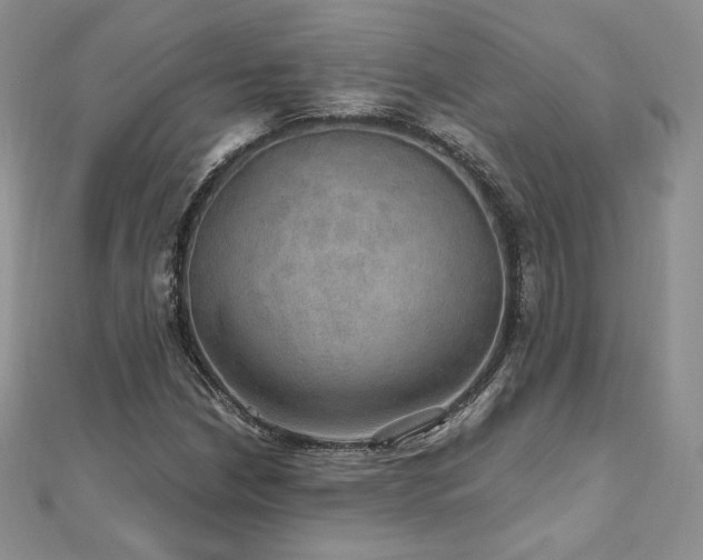 X0000110891210200906181239