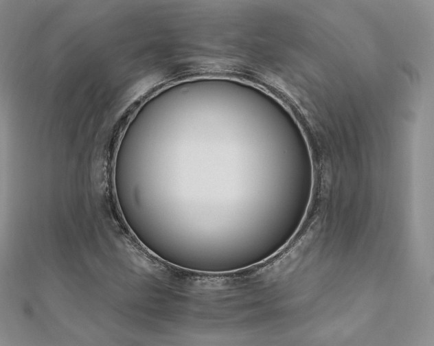 X0000110891211200906181239