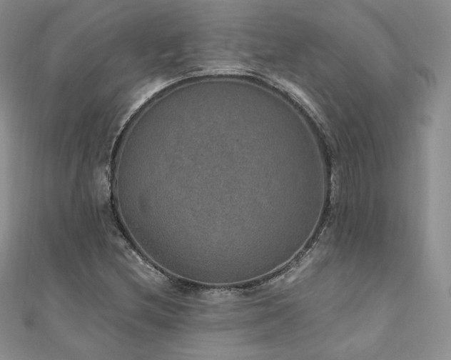 X0000110891212200906181239
