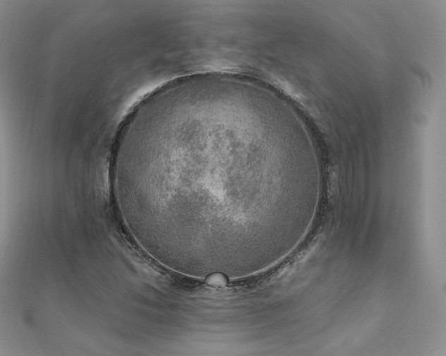 X0000110891214200906181239