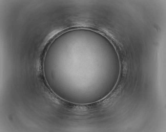 X0000110891215200906181239